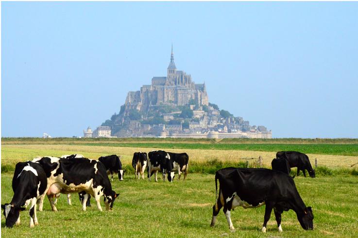 Visiter le mont saint michel en Normandie